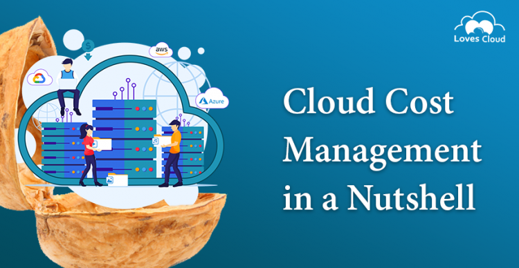 Cloud Cost Management in a Nutshell