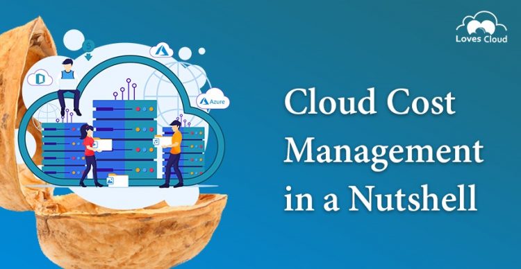 Cloud Cost Management in a Nutshell