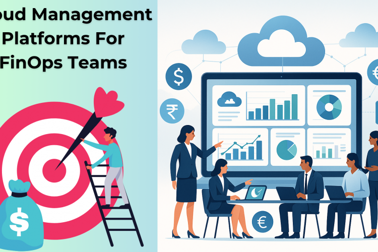 FinOps with Cloud Management Platform